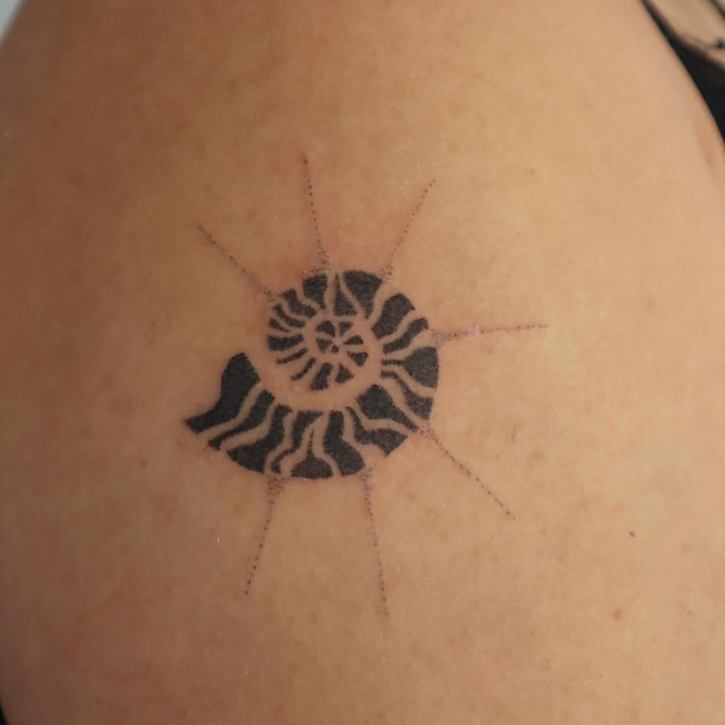 tatouage coquillage